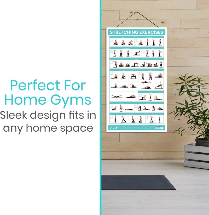 VIVE Workout Posters for Home Gym - 52 Streching Exercises Full Body Workout - Laminated Pre Post Routines Wall Chart - Bodyweight Poses Instruction Guide for Core, Abs, Legs, Glutes, Upper Body - Image 4